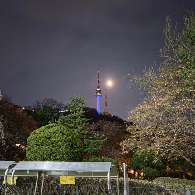 알렉