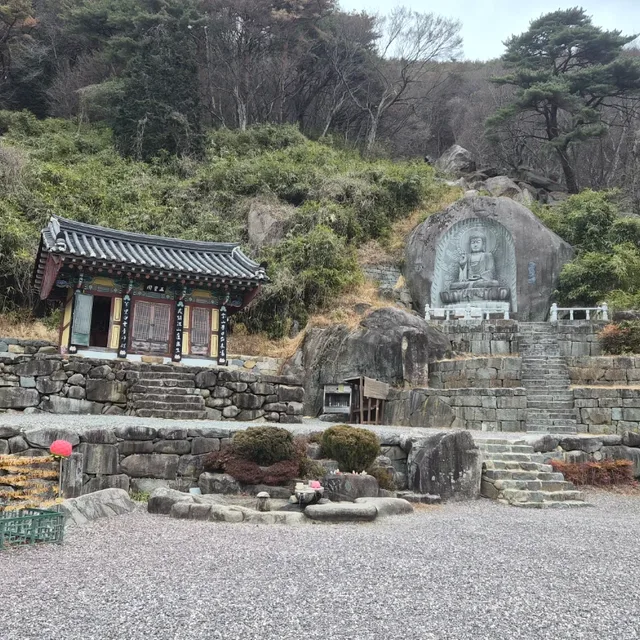 머니짱영