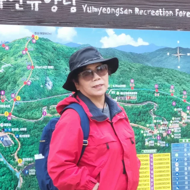 부긴빌라