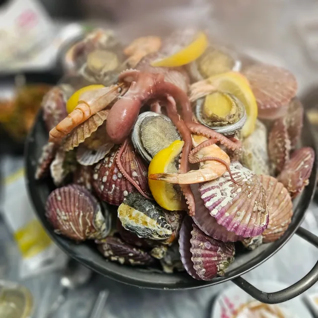 멍멍냥