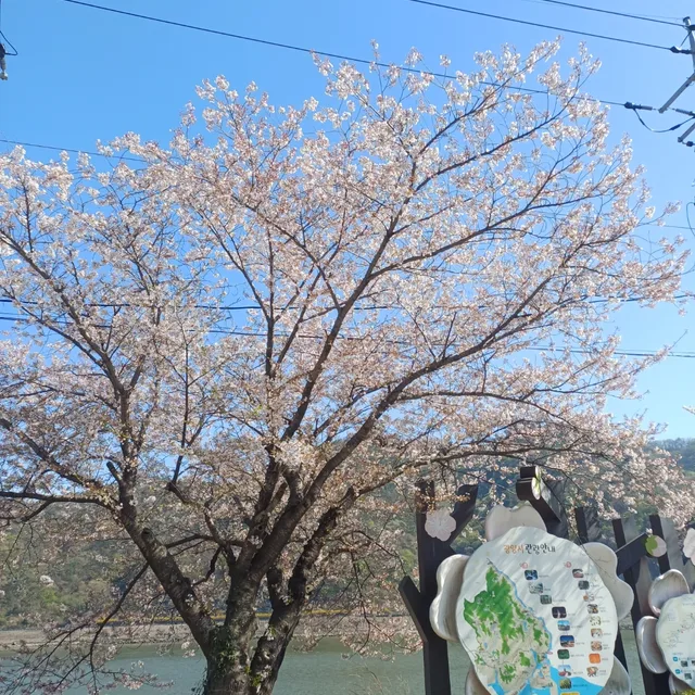 산드리