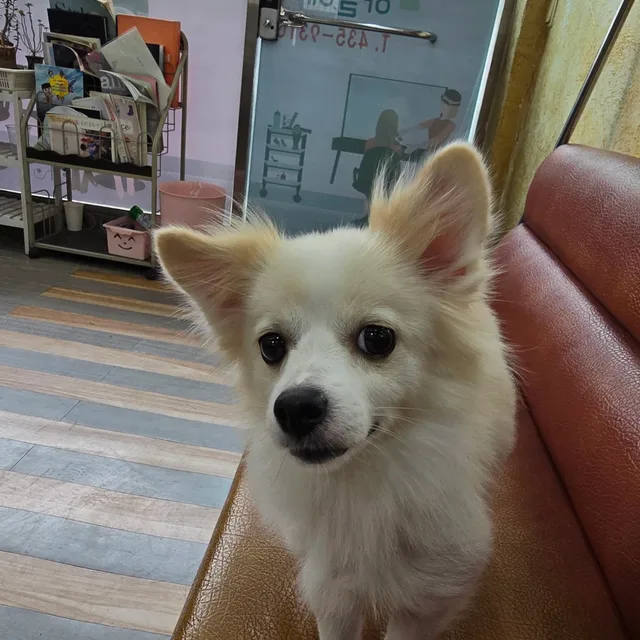 좋은생각