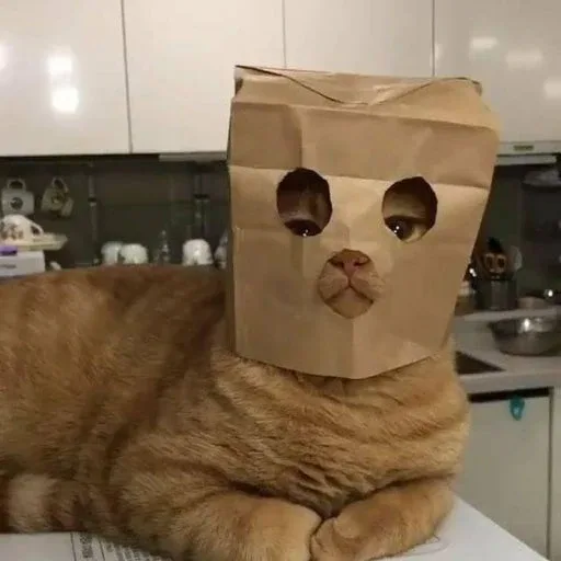 HSP