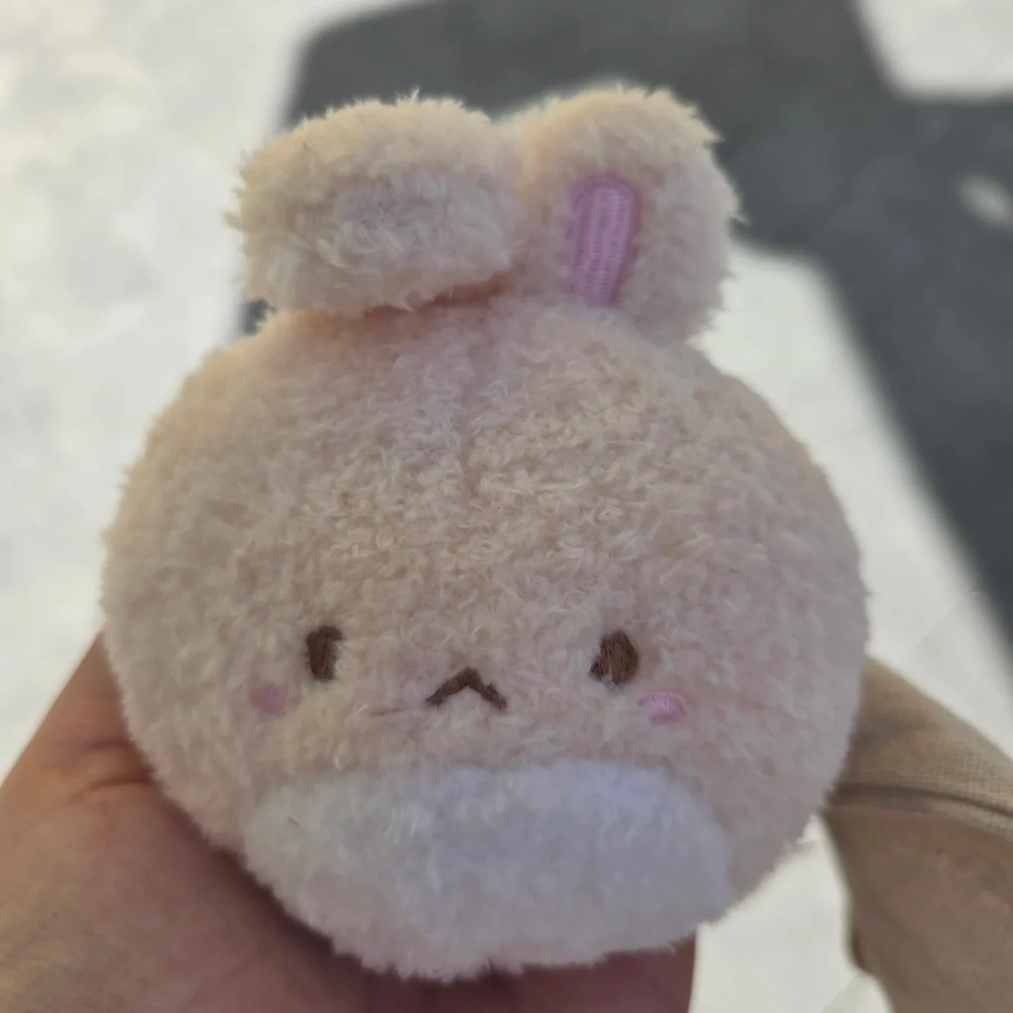 토끼