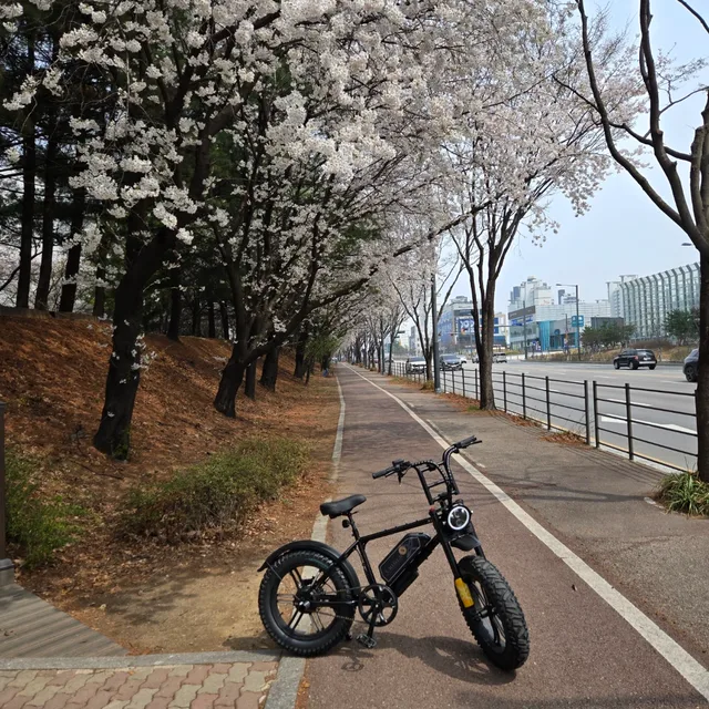 츠나