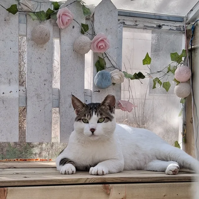 밀크