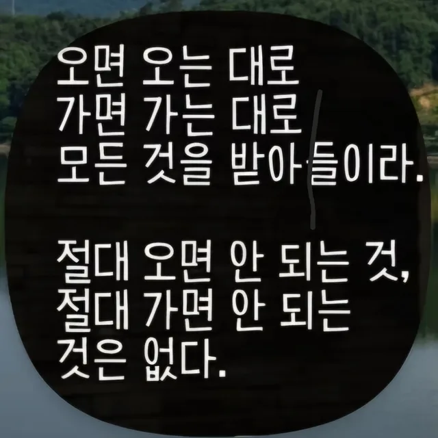 연두버스