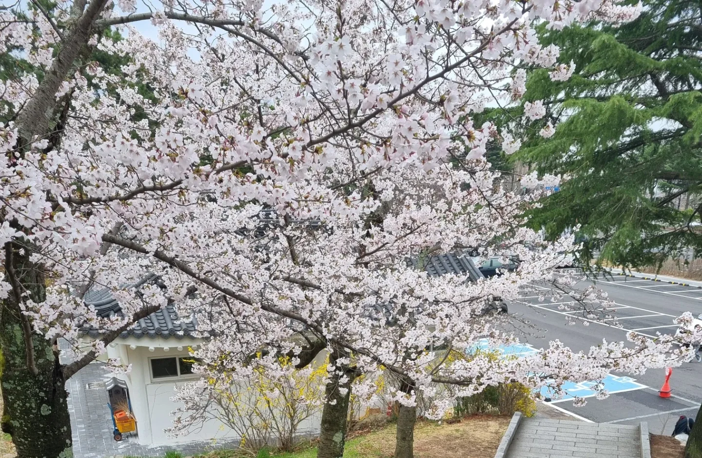 난할수있다