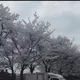 김여사