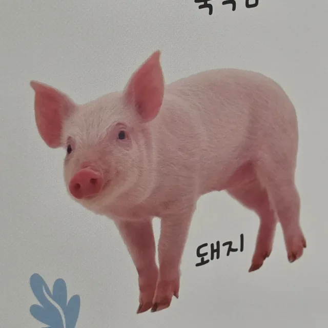 고기