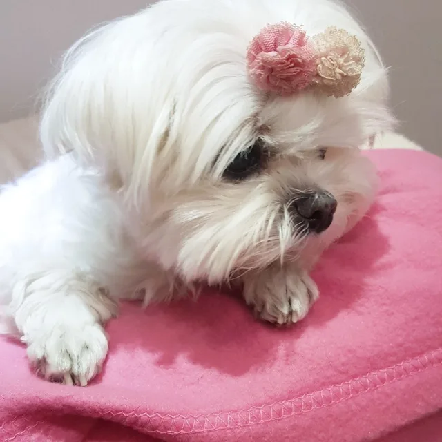 주워니