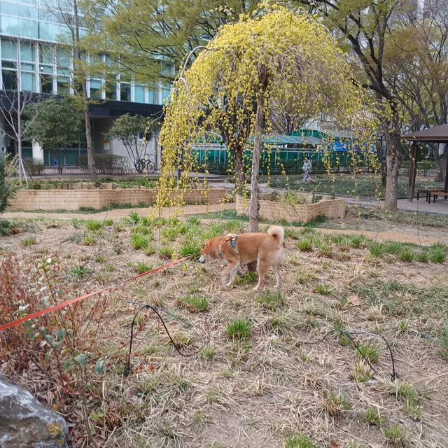 문고리