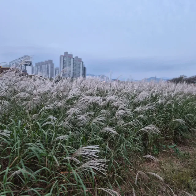 효천맨