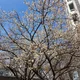 남매맘