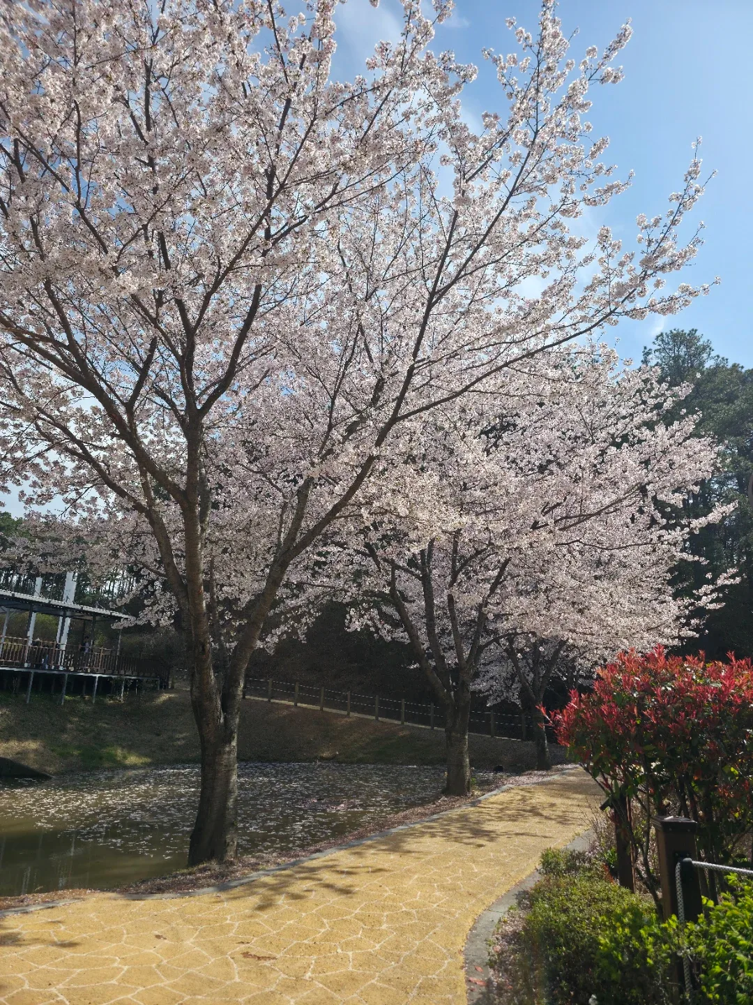 영아