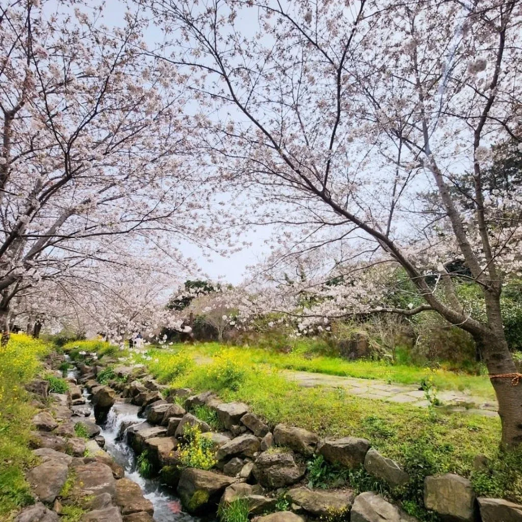 흔한자매