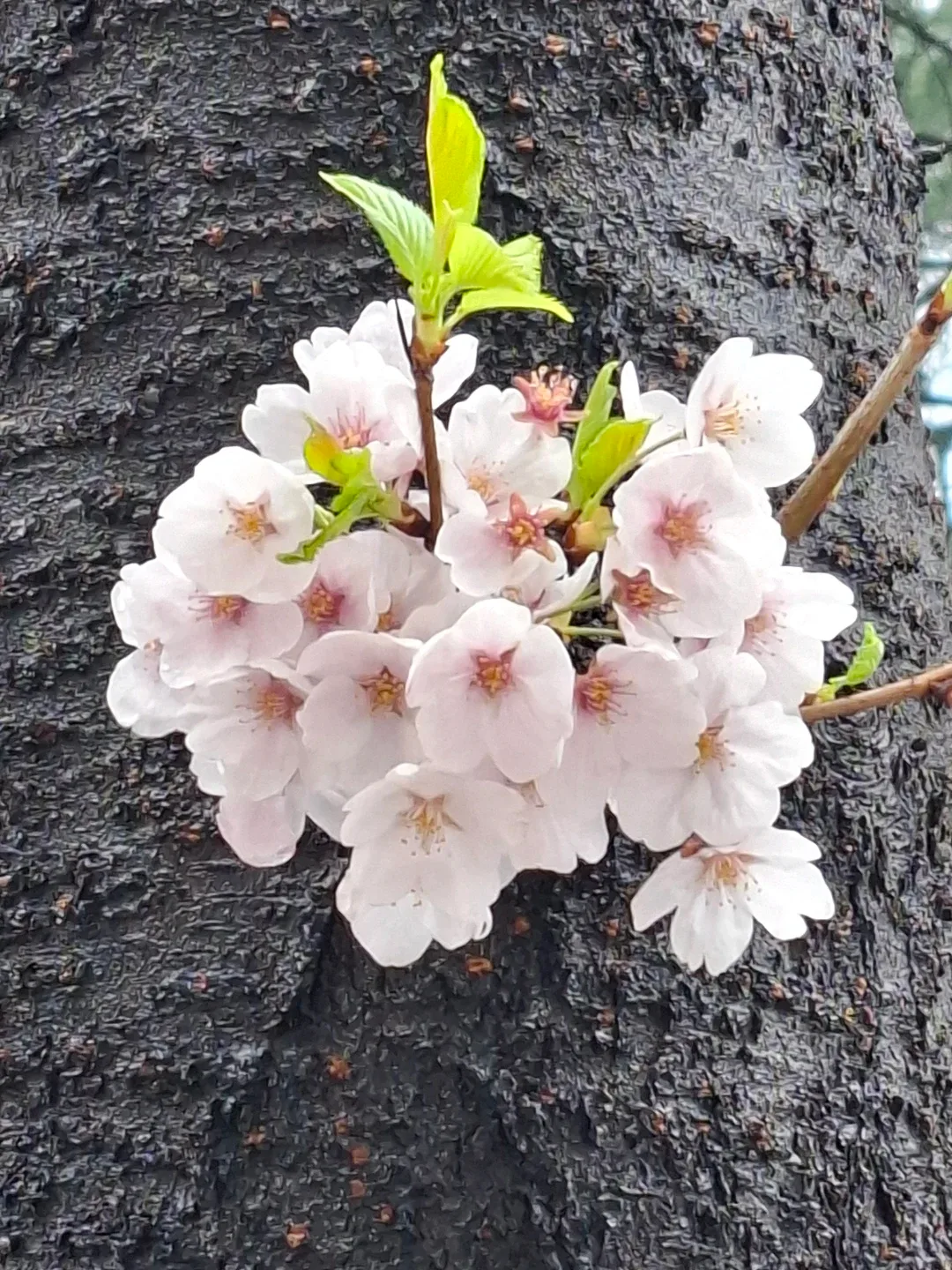 건건