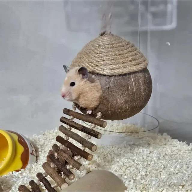 봄풍경