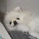 최탁구입니다