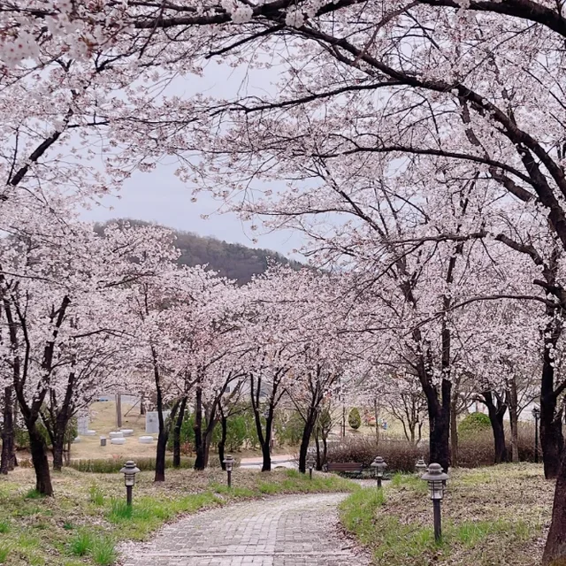 당근팅구
