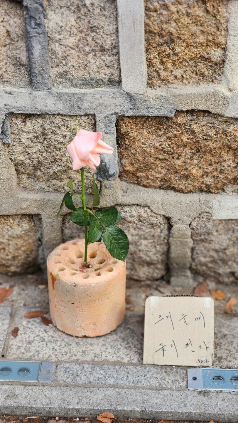 즐거운하루