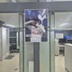 배추도사