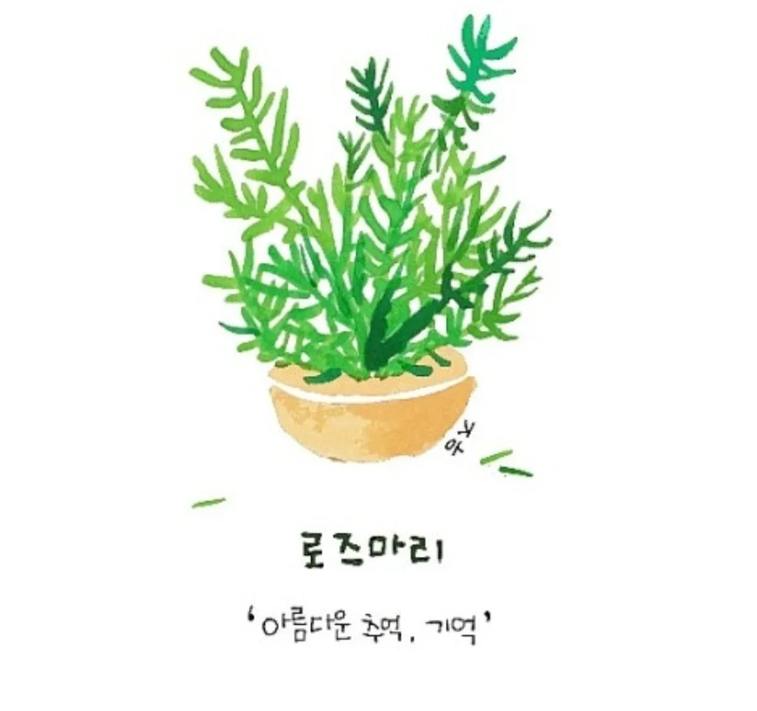 로즈마리