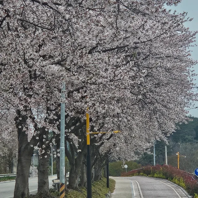 탱구리남편