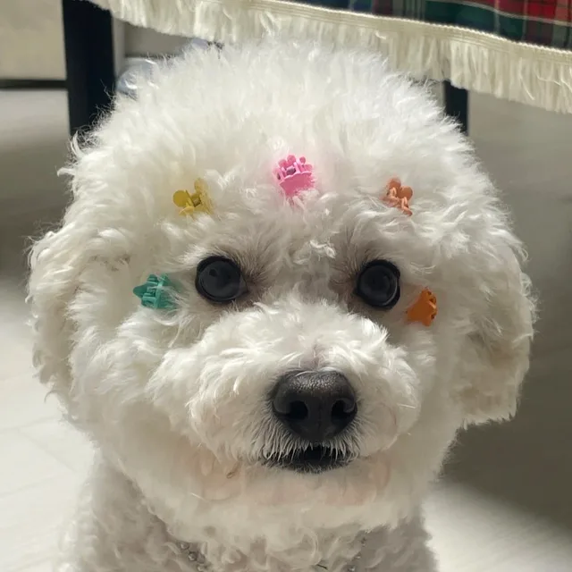 두둥