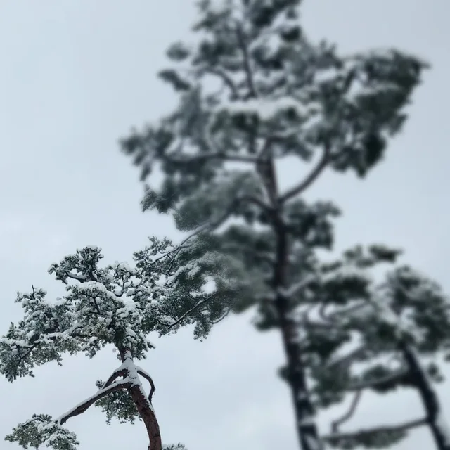 파란하늘