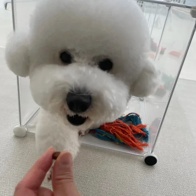 뭉치맘