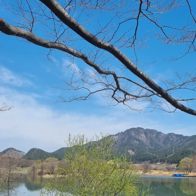 따박따박행복
