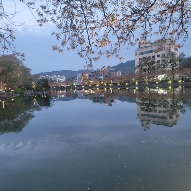 나비옥계