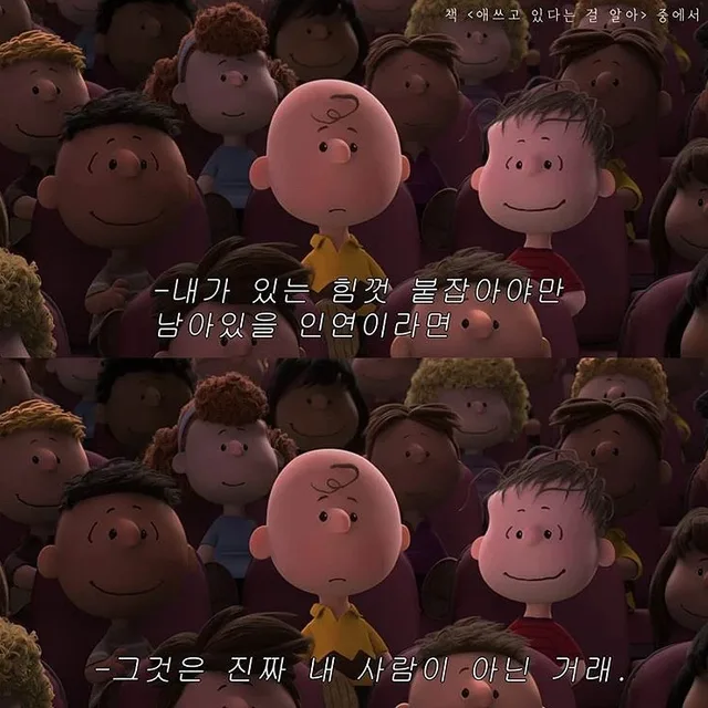 회색샤미즈