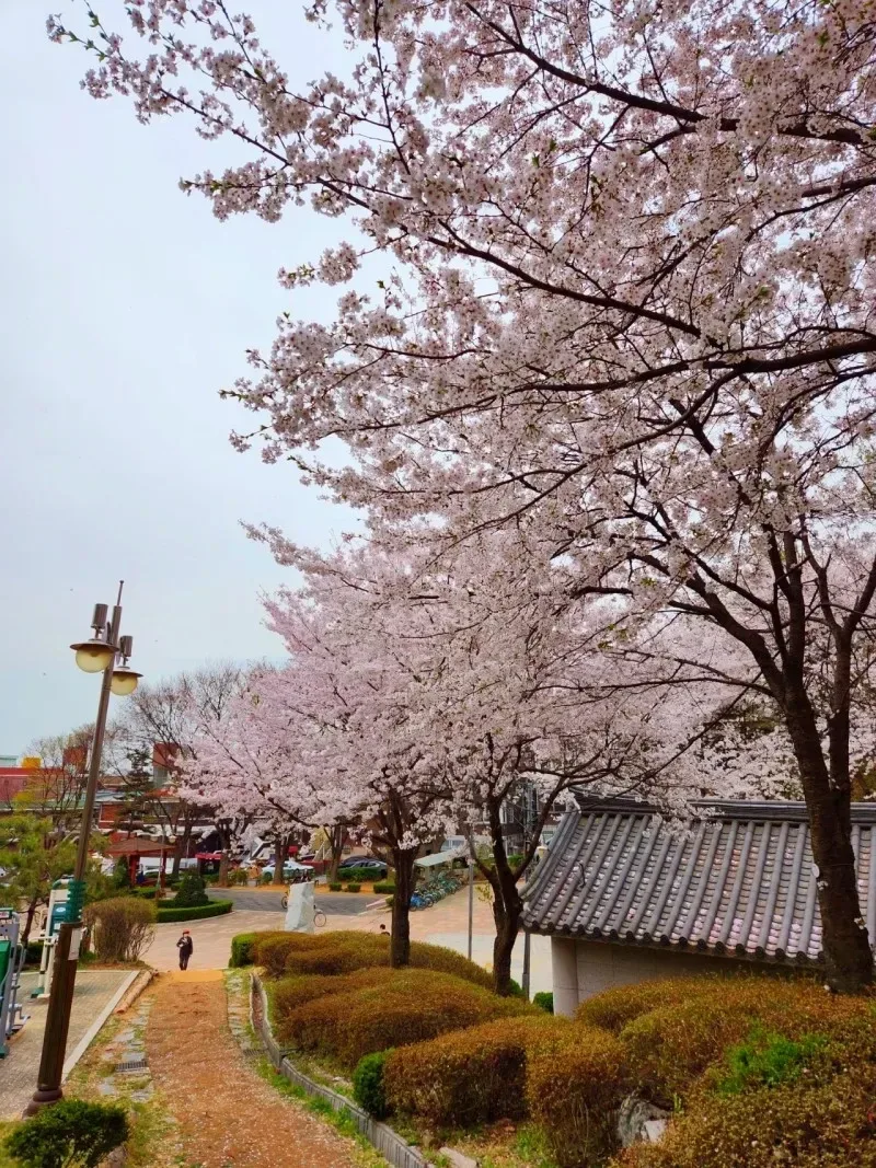 임학러브