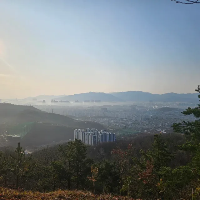 따봉