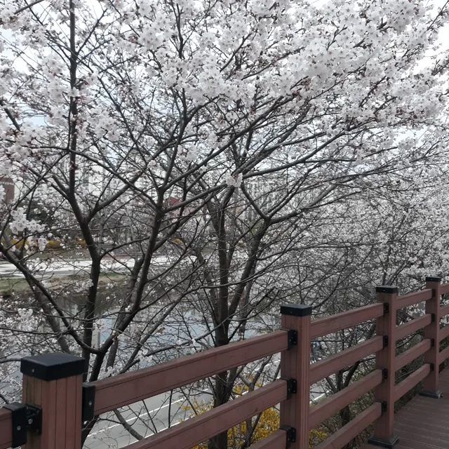 예봄