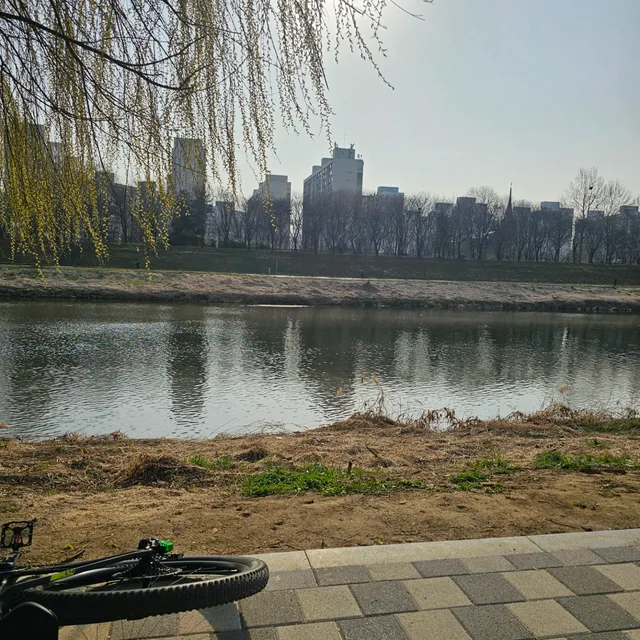 스캇월드컵RC