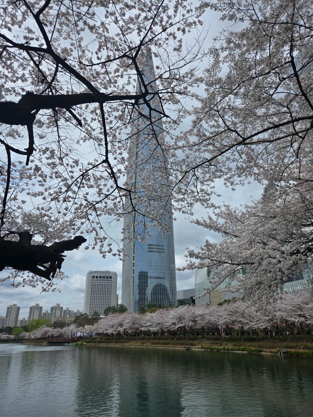 또리맘