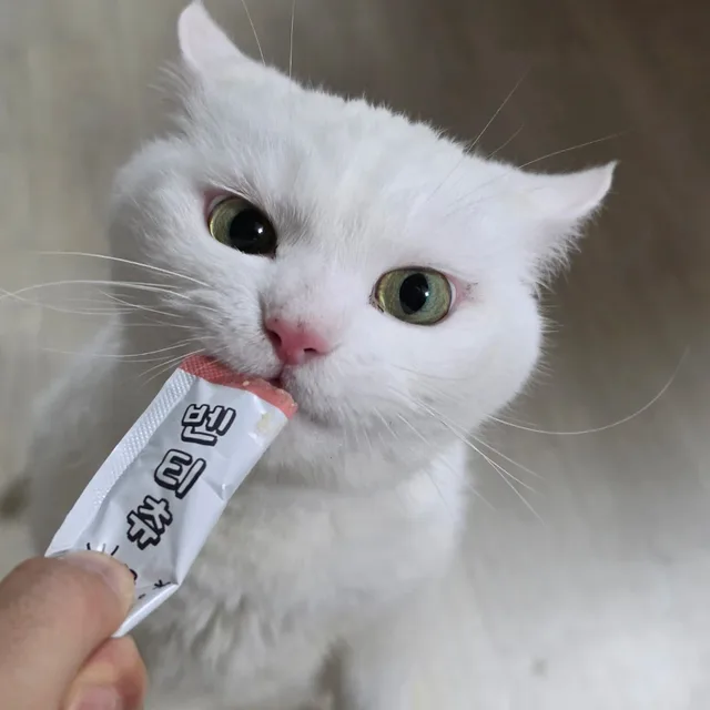 펜트