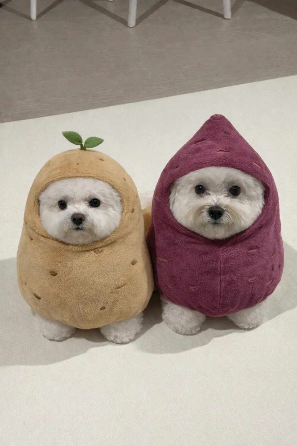 율무두부아빠