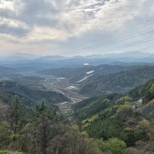 겨울