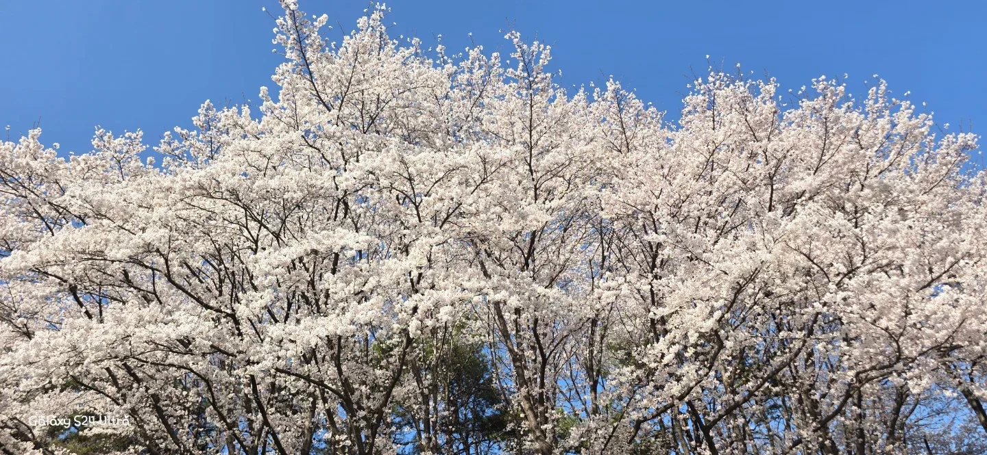 제이