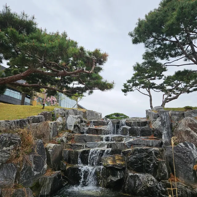 잔잔한파도