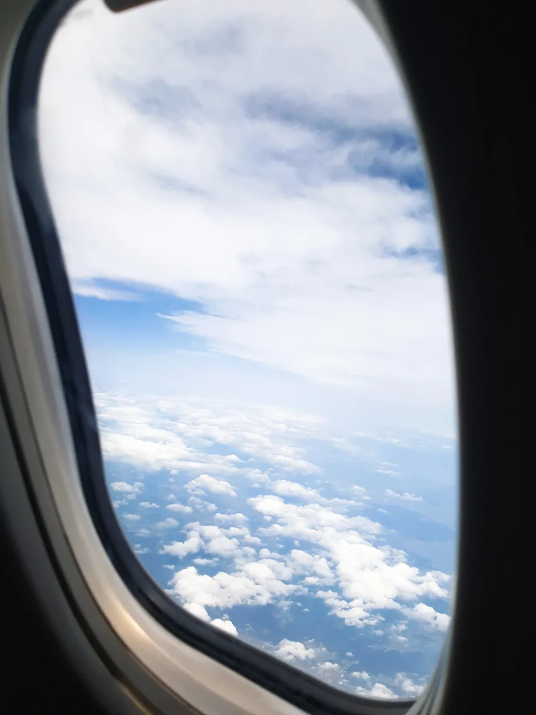 꼬꼬댁