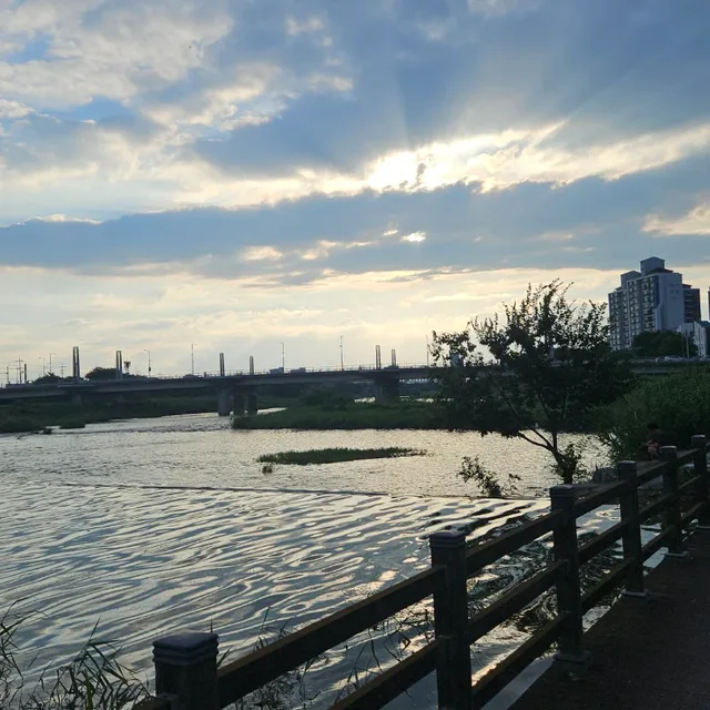 봄이로구나