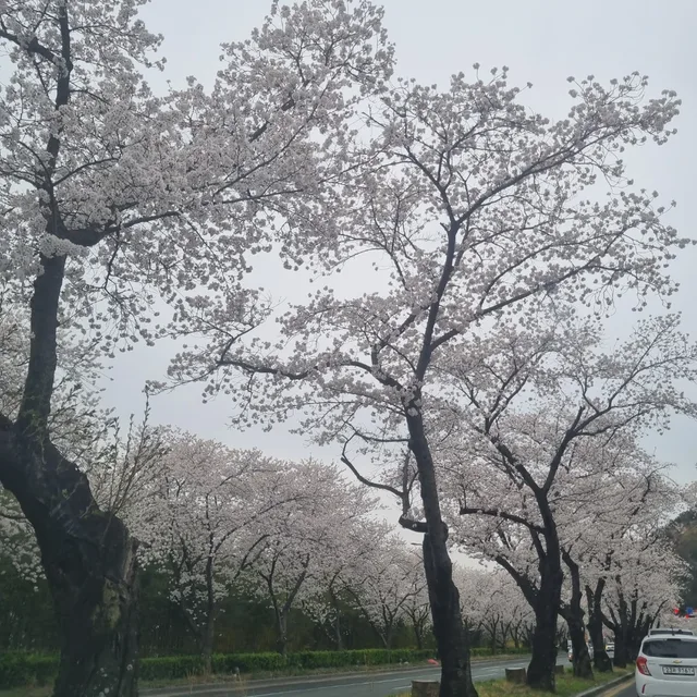 안전안전