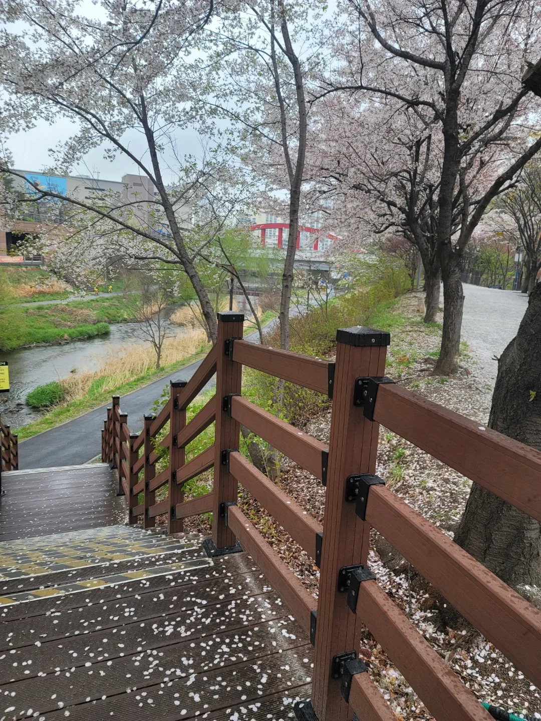 윤진영뷰티