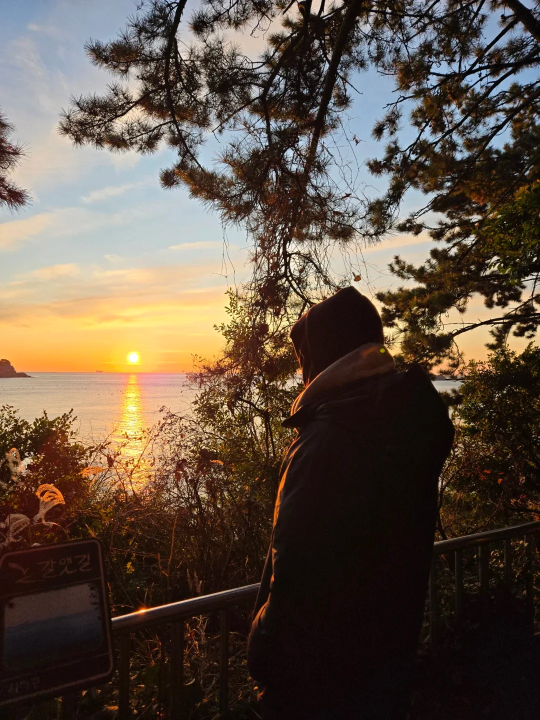 최부성