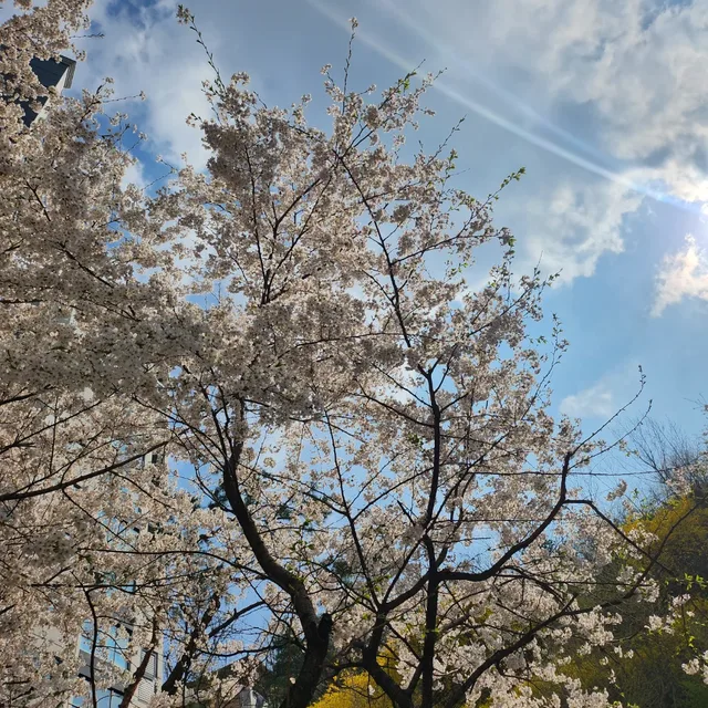 좋은하루